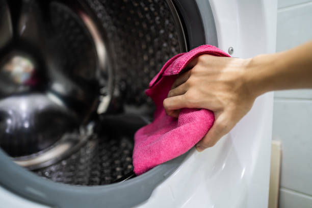 Best Mold Prevention Services  in Shepherd, MI