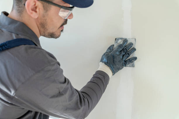 Best Mold Removal for HVAC Installations  in Shepherd, MI