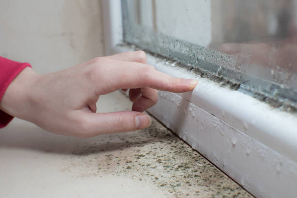 Mold Exposure & Symptoms