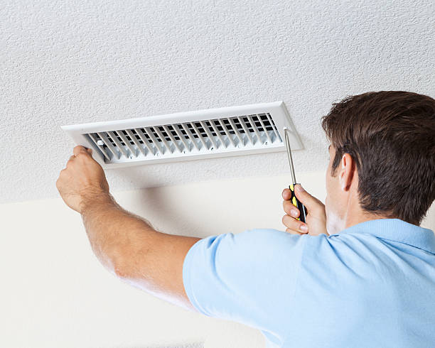 Best Basement Mold Removal  in Shepherd, MI